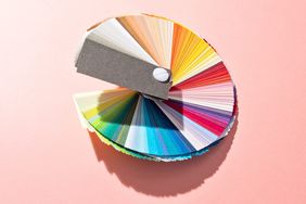 Color Wheel Color Scheme