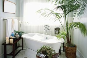 How to Take the Perfect Bath, According to Science: Bubble bath with potted plants