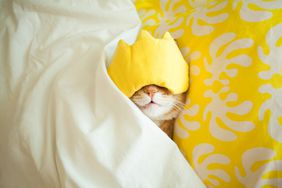 orange cat sleeping with a yellow sleep mask